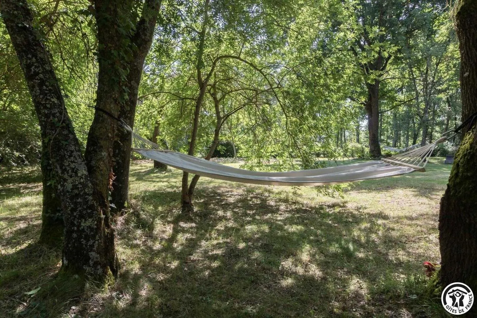 Prázdninový dům Vila Domaine Du Beguerat Brax  Francie